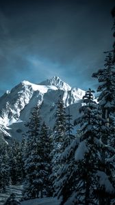Preview wallpaper mountains, snowy, trees, forest, winter