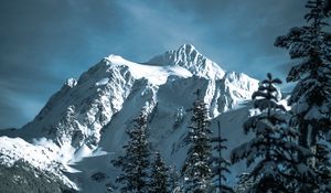 Preview wallpaper mountains, snowy, trees, forest, winter