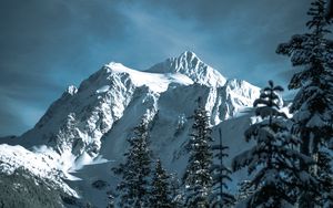 Preview wallpaper mountains, snowy, trees, forest, winter