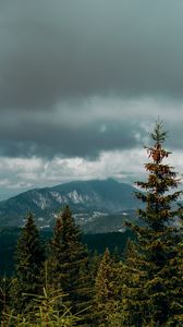Preview wallpaper mountains, spruce, clouds, forest, trees