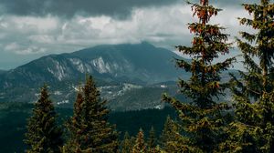 Preview wallpaper mountains, spruce, clouds, forest, trees