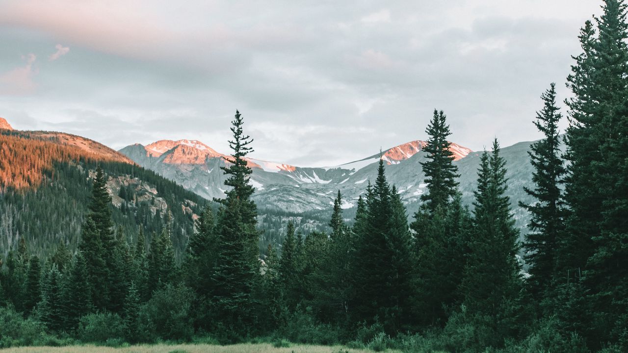 Wallpaper mountains, spruce, lake, trees