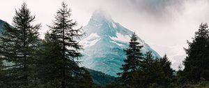 Preview wallpaper mountains, spruce, lake, reflection, clouds