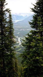 Preview wallpaper mountains, spruce, river, trees, branches