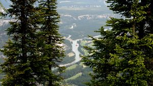 Preview wallpaper mountains, spruce, river, trees, branches