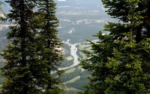 Preview wallpaper mountains, spruce, river, trees, branches