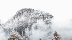 Preview wallpaper mountains, spruce, snow, snowy, trees