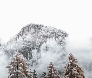 Preview wallpaper mountains, spruce, snow, snowy, trees