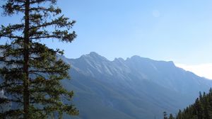 Preview wallpaper mountains, spruce, trees, slope, sky