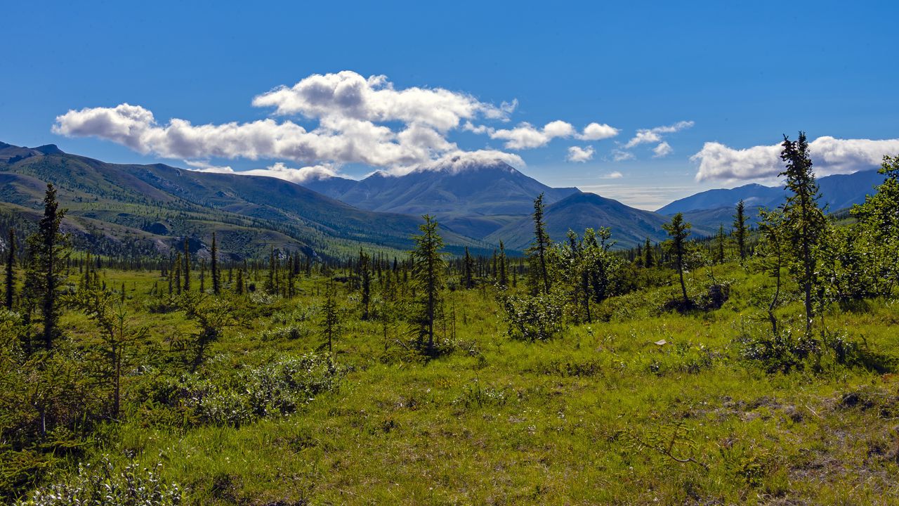 Wallpaper mountains, spruce, trees, clouds, grass