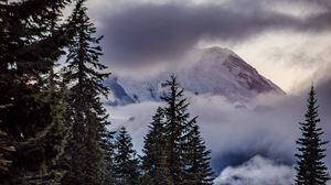 Preview wallpaper mountains, spruce, trees, clouds, sky