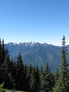 Preview wallpaper mountains, spruce, trees, forest, distance