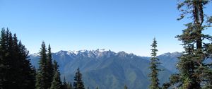 Preview wallpaper mountains, spruce, trees, forest, distance