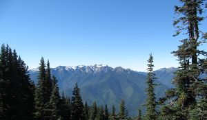 Preview wallpaper mountains, spruce, trees, forest, distance