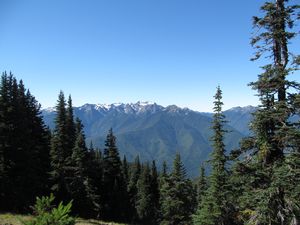 Preview wallpaper mountains, spruce, trees, forest, distance