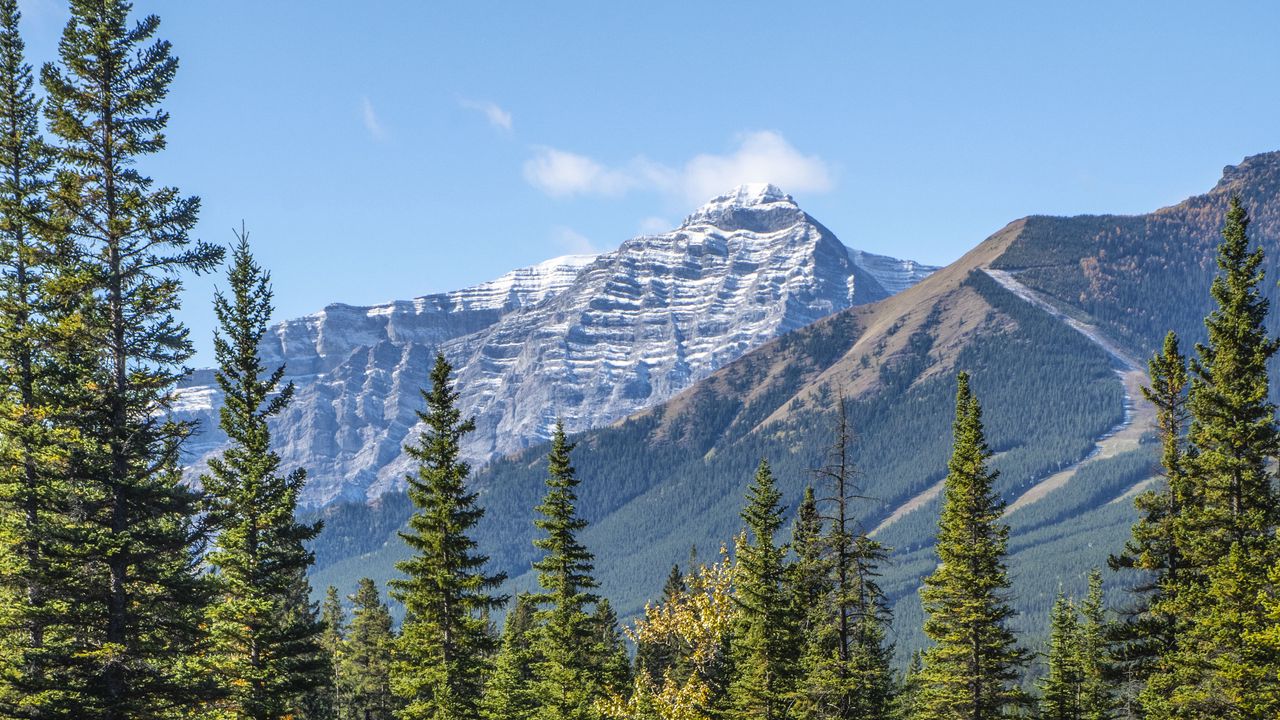 Wallpaper mountains, spruce, trees, lake, reflection, sky