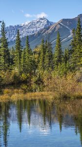 Preview wallpaper mountains, spruce, trees, lake, reflection, sky