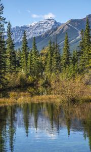 Preview wallpaper mountains, spruce, trees, lake, reflection, sky