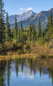 Preview wallpaper mountains, spruce, trees, lake, reflection, sky