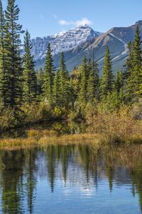 Preview wallpaper mountains, spruce, trees, lake, reflection, sky