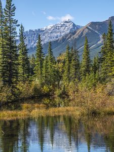 Preview wallpaper mountains, spruce, trees, lake, reflection, sky