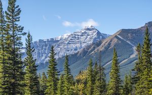 Preview wallpaper mountains, spruce, trees, lake, reflection, sky