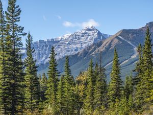 Preview wallpaper mountains, spruce, trees, lake, reflection, sky