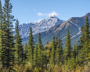 Preview wallpaper mountains, spruce, trees, lake, reflection, sky