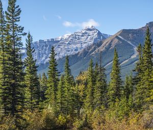 Preview wallpaper mountains, spruce, trees, lake, reflection, sky