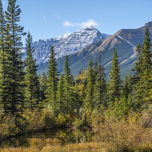 Preview wallpaper mountains, spruce, trees, lake, reflection, sky