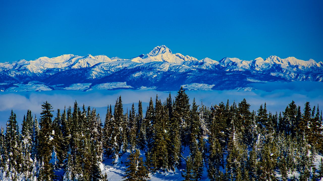 Wallpaper mountains, spruce, trees, snow, winter, landscape