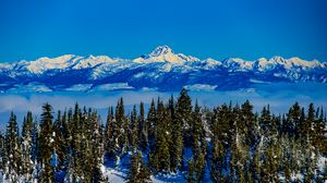 Preview wallpaper mountains, spruce, trees, snow, winter, landscape