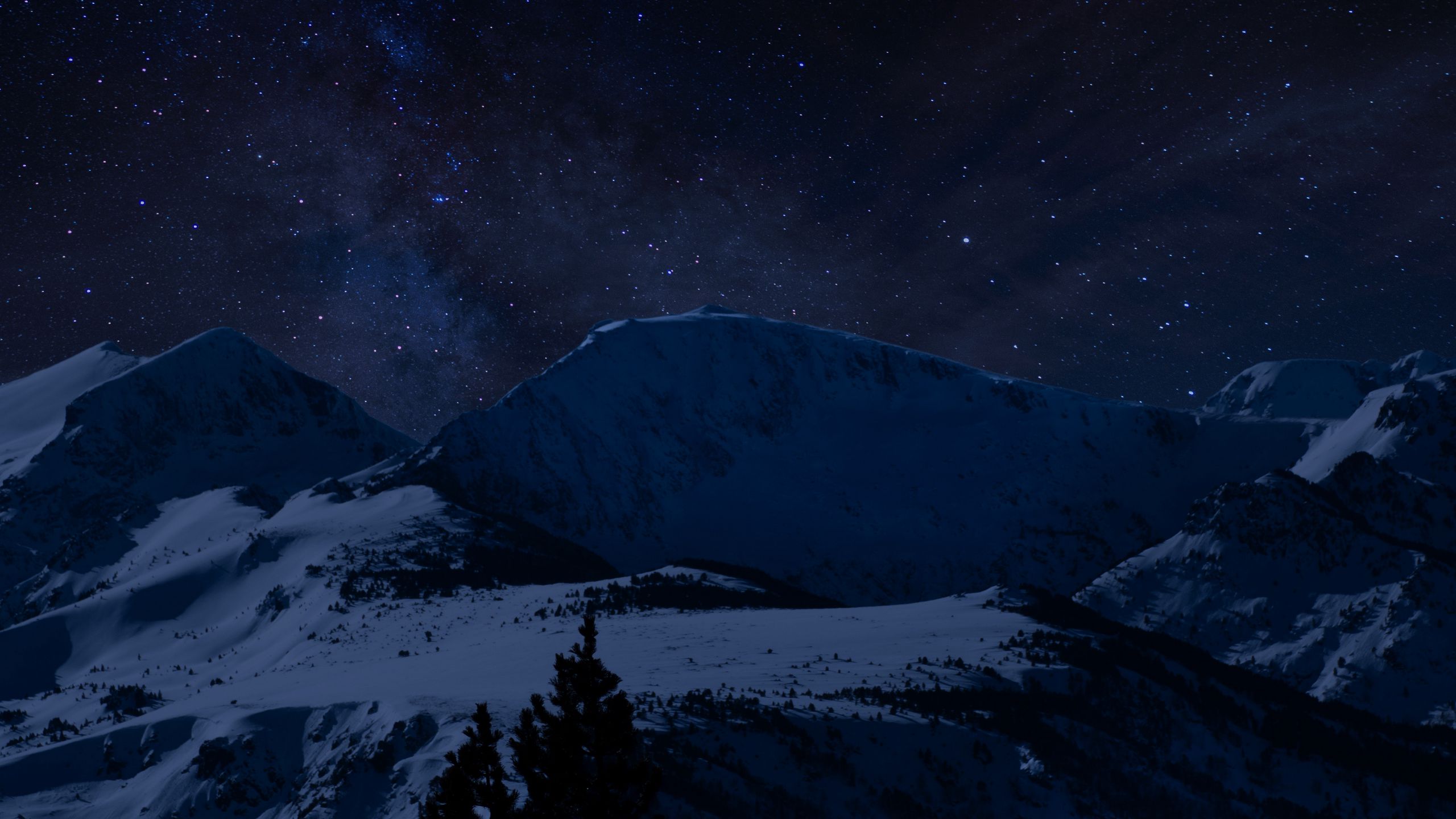 Download wallpaper 2560x1440 mountains, starry sky, night, snowy