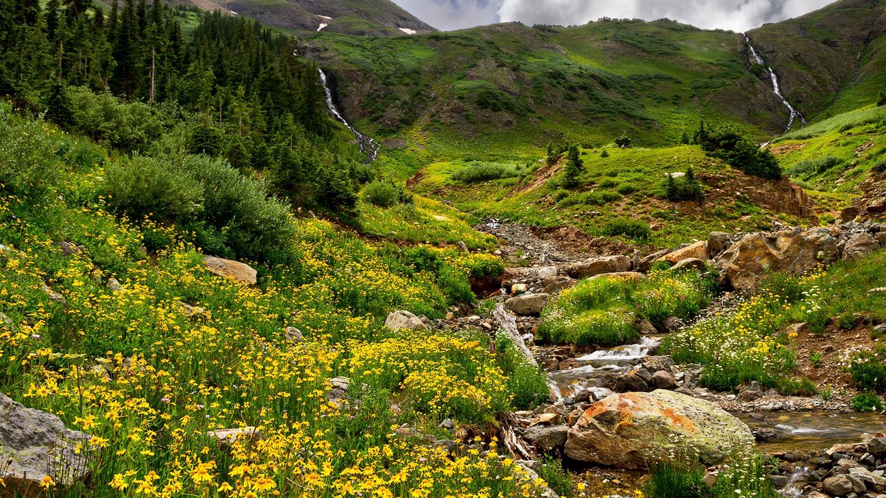 Wallpaper mountains, stones, streams, flowers, greens, murmur, grass, relief