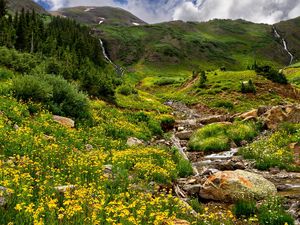 Preview wallpaper mountains, stones, streams, flowers, greens, murmur, grass, relief