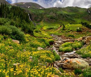Preview wallpaper mountains, stones, streams, flowers, greens, murmur, grass, relief