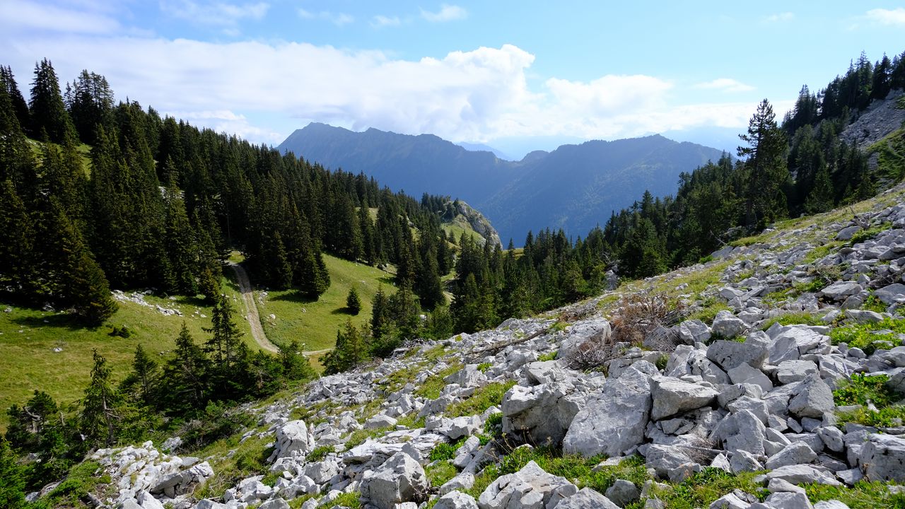 Wallpaper mountains, stones, trees, road, landscape
