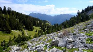 Preview wallpaper mountains, stones, trees, road, landscape