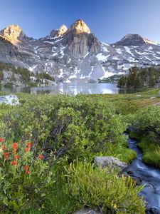 Preview wallpaper mountains, stream, bushes, flowers, lake, top, stones, light