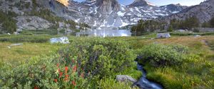 Preview wallpaper mountains, stream, bushes, flowers, lake, top, stones, light