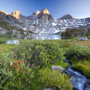 Preview wallpaper mountains, stream, bushes, flowers, lake, top, stones, light