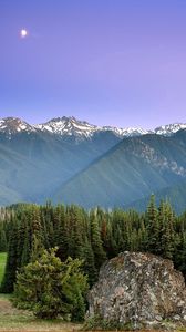 Preview wallpaper mountains, sun, fog, sky, coniferous, trees