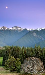 Preview wallpaper mountains, sun, fog, sky, coniferous, trees