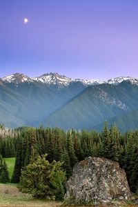 Preview wallpaper mountains, sun, fog, sky, coniferous, trees