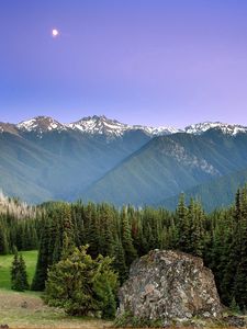 Preview wallpaper mountains, sun, fog, sky, coniferous, trees