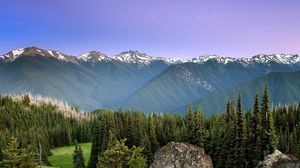 Preview wallpaper mountains, sun, fog, sky, coniferous, trees