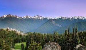 Preview wallpaper mountains, sun, fog, sky, coniferous, trees