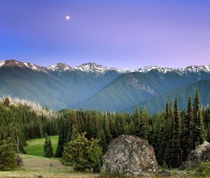 Preview wallpaper mountains, sun, fog, sky, coniferous, trees