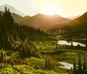 Preview wallpaper mountains, sun, forest, art