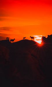 Preview wallpaper mountains, sunset, animals, silhouettes, dark